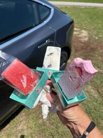 Palmetto Popsicles they have a stand at Shops at Pine Center.