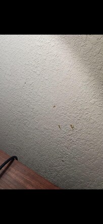 Blood on the wall