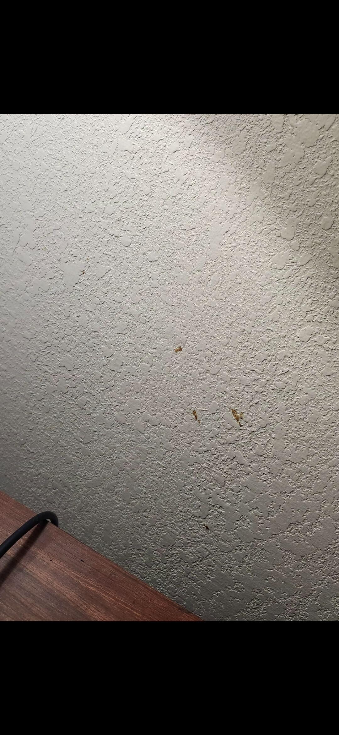 Blood on the wall