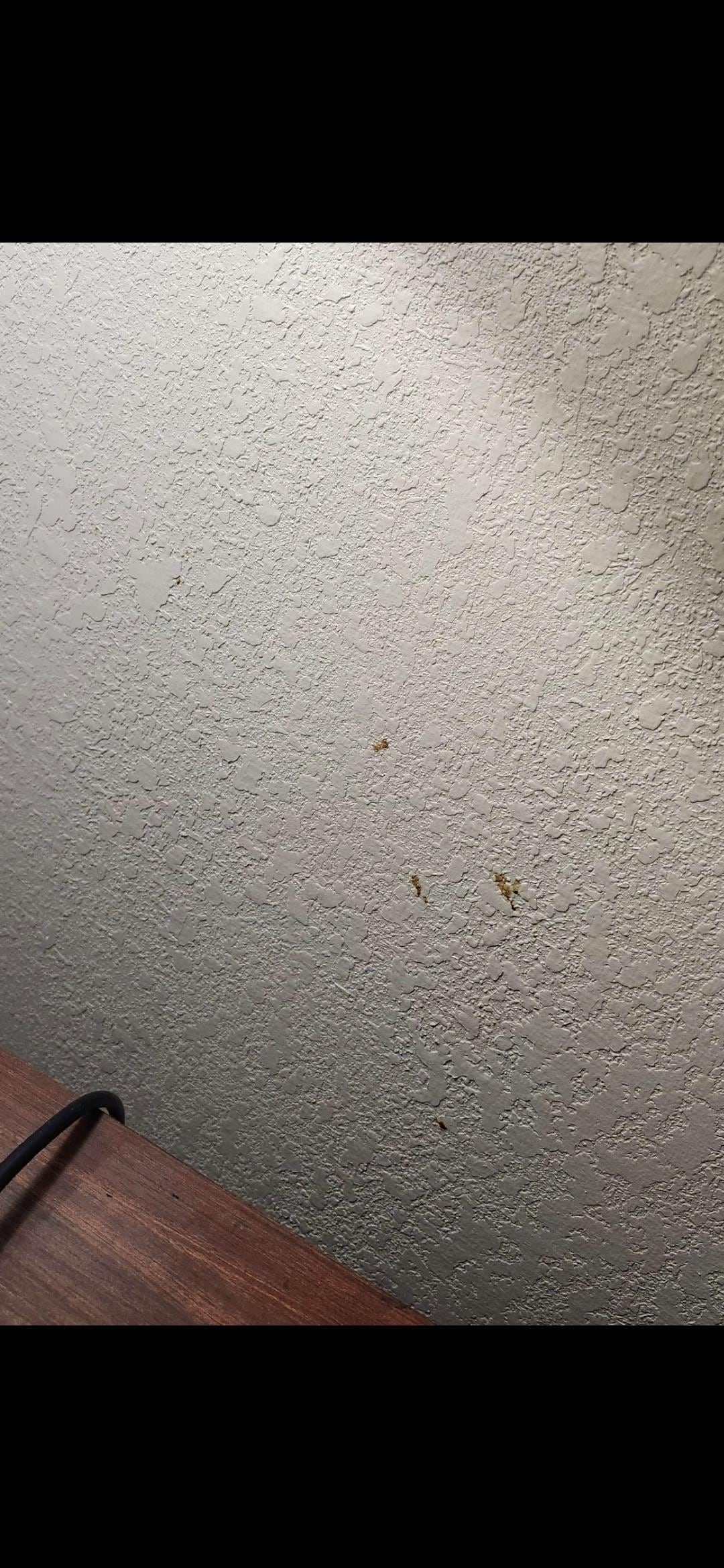 Blood on the wall