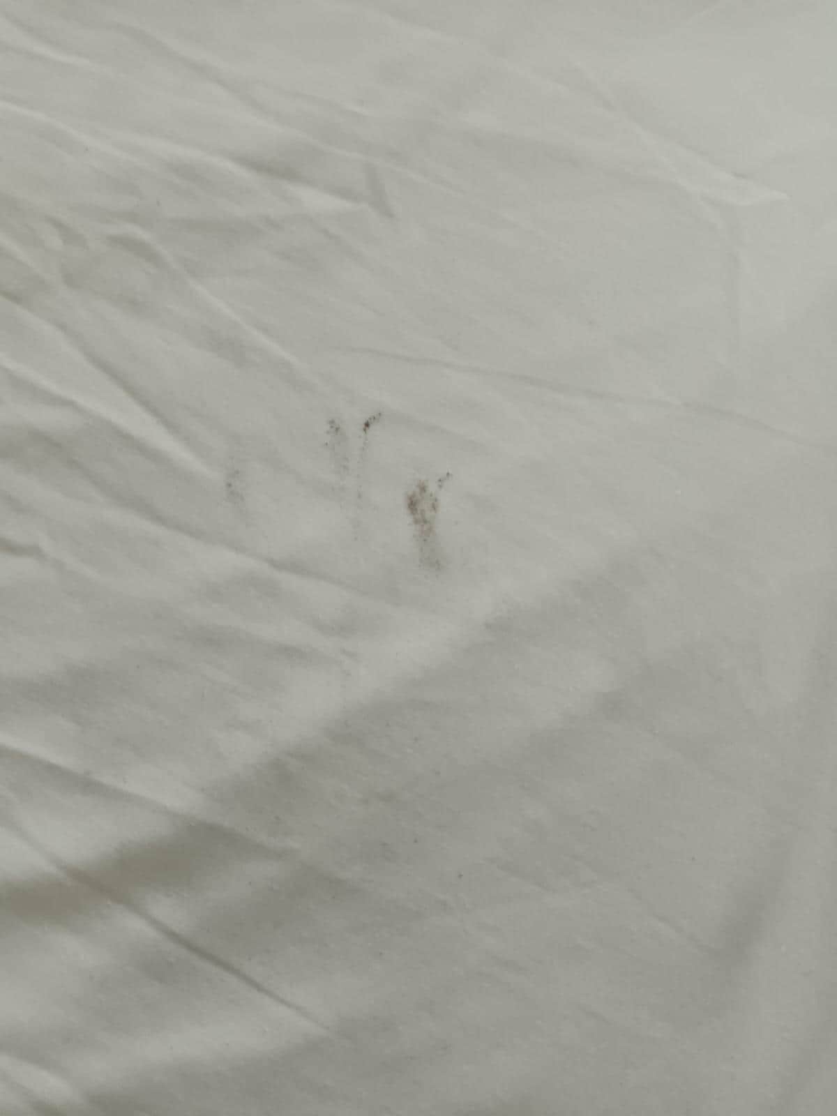 Säng kläder, golvet, dusch, 