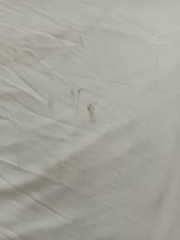 Säng kläder, golvet, dusch,