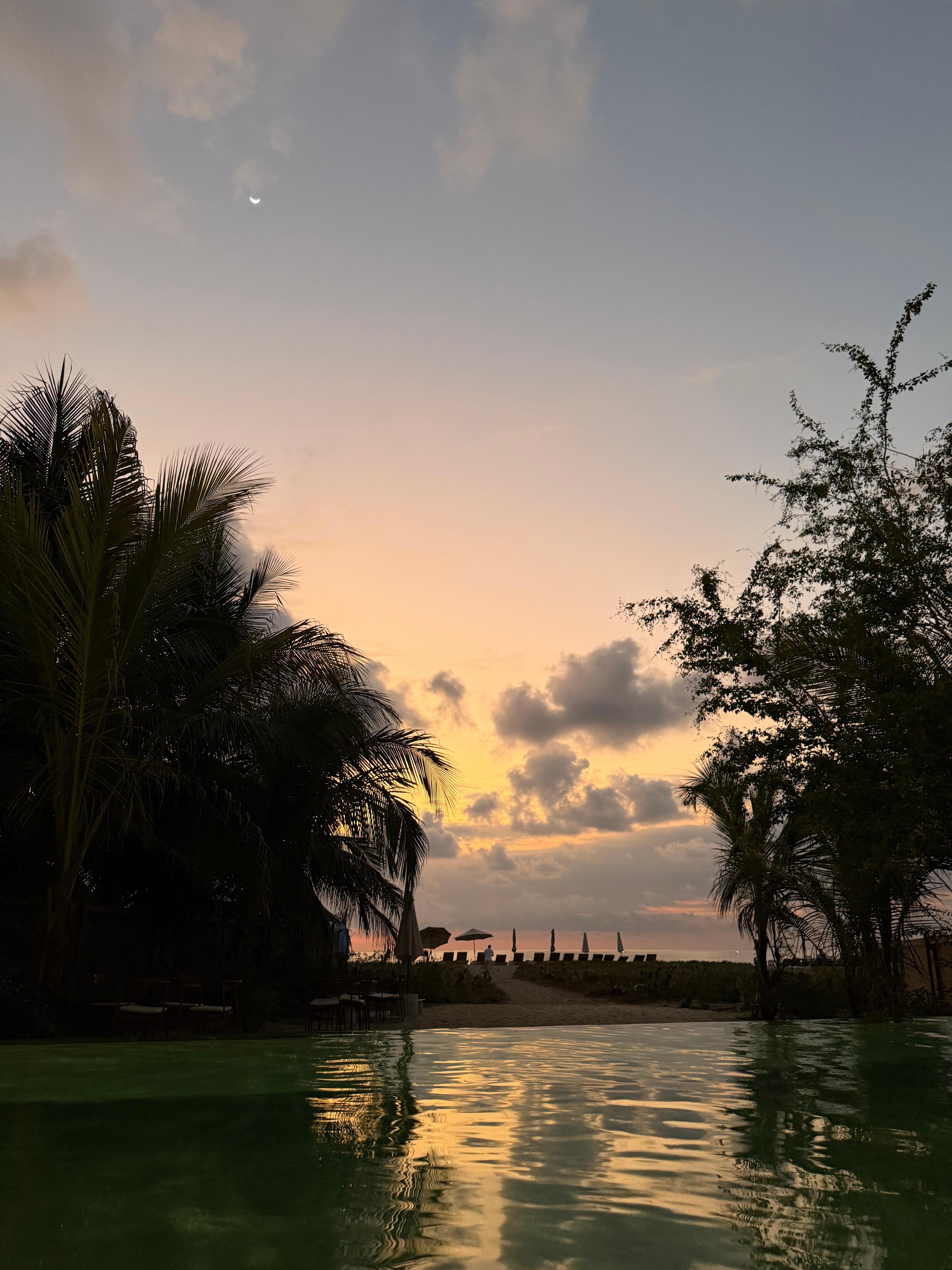 Vista desde la alberca 