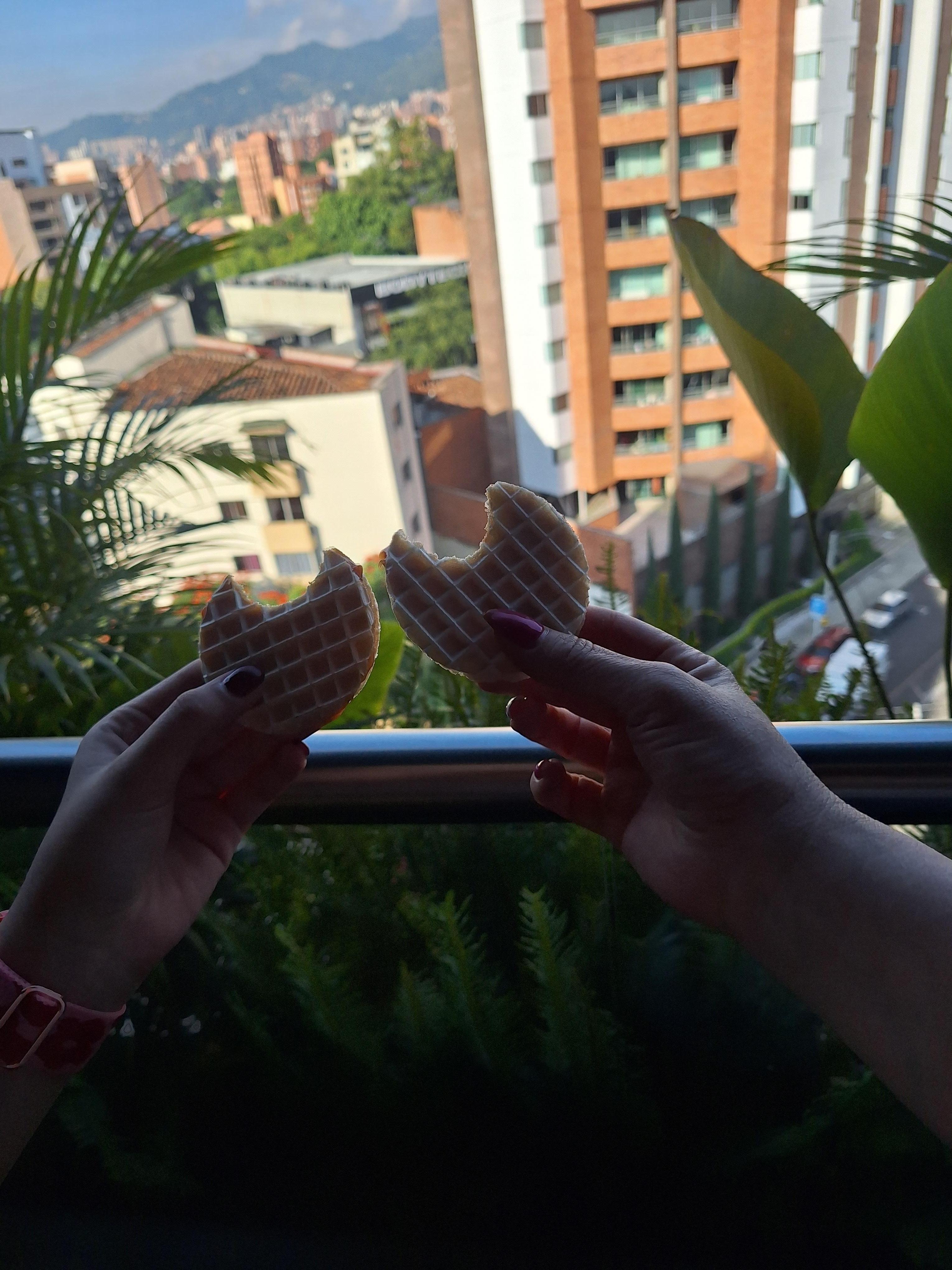 Vista desde el balcón