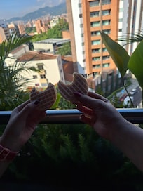 Vista desde el balcón