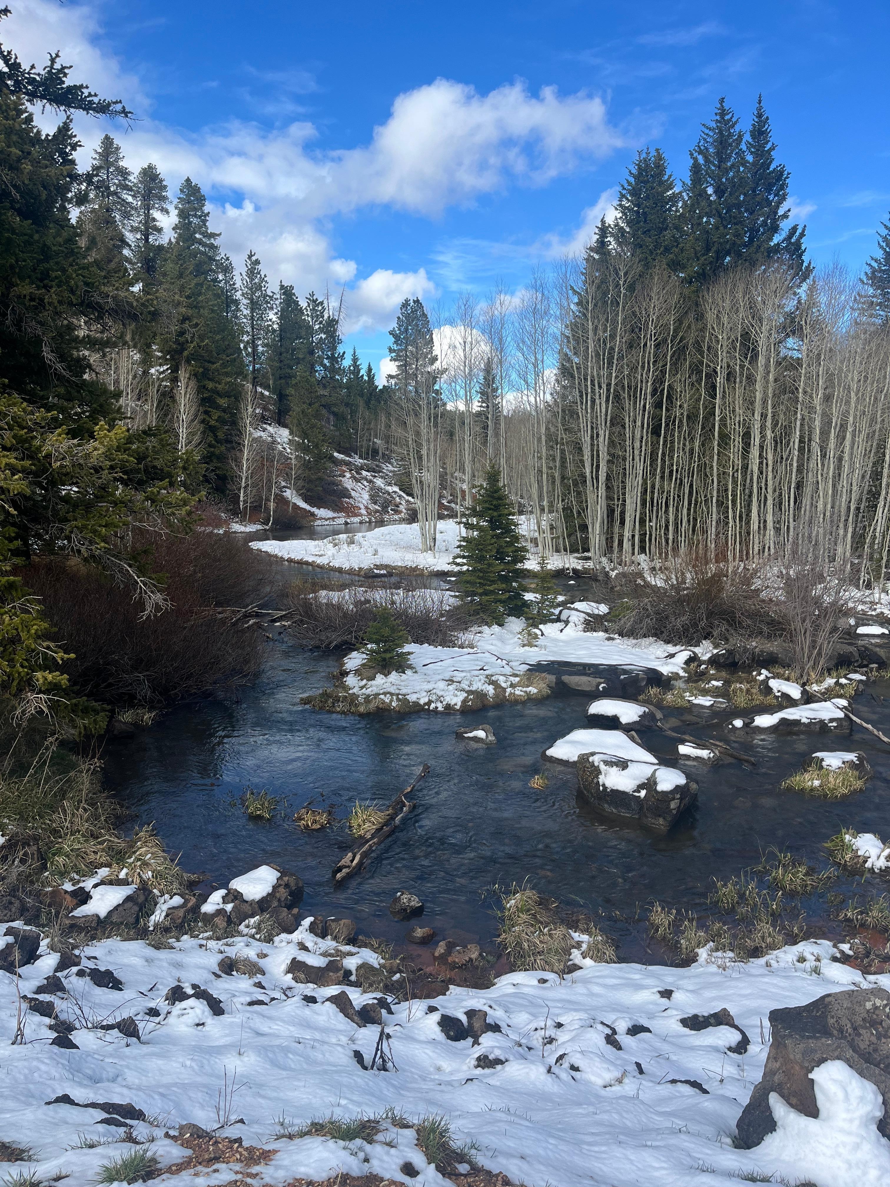Duck Creek walks/hiking
