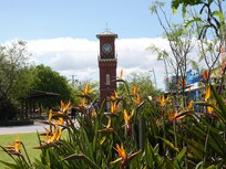 Mid town clock