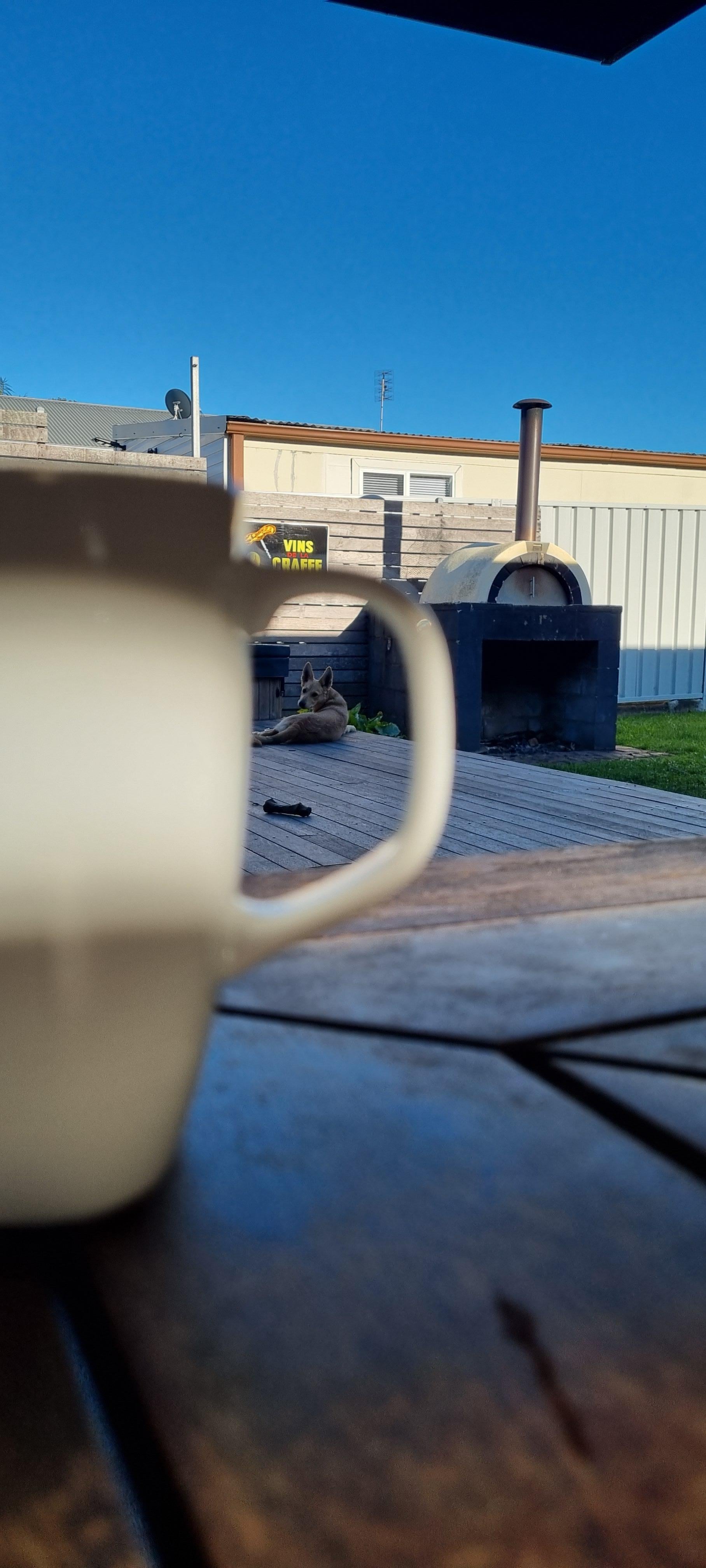 Morning coffee in the serenity of the backyard.