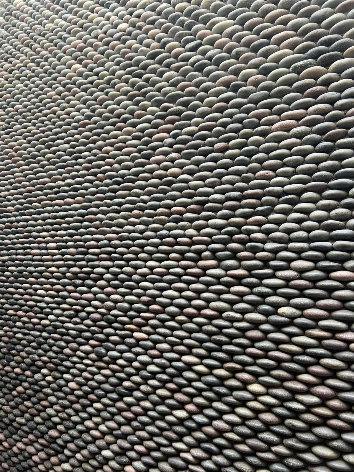 The shower wall