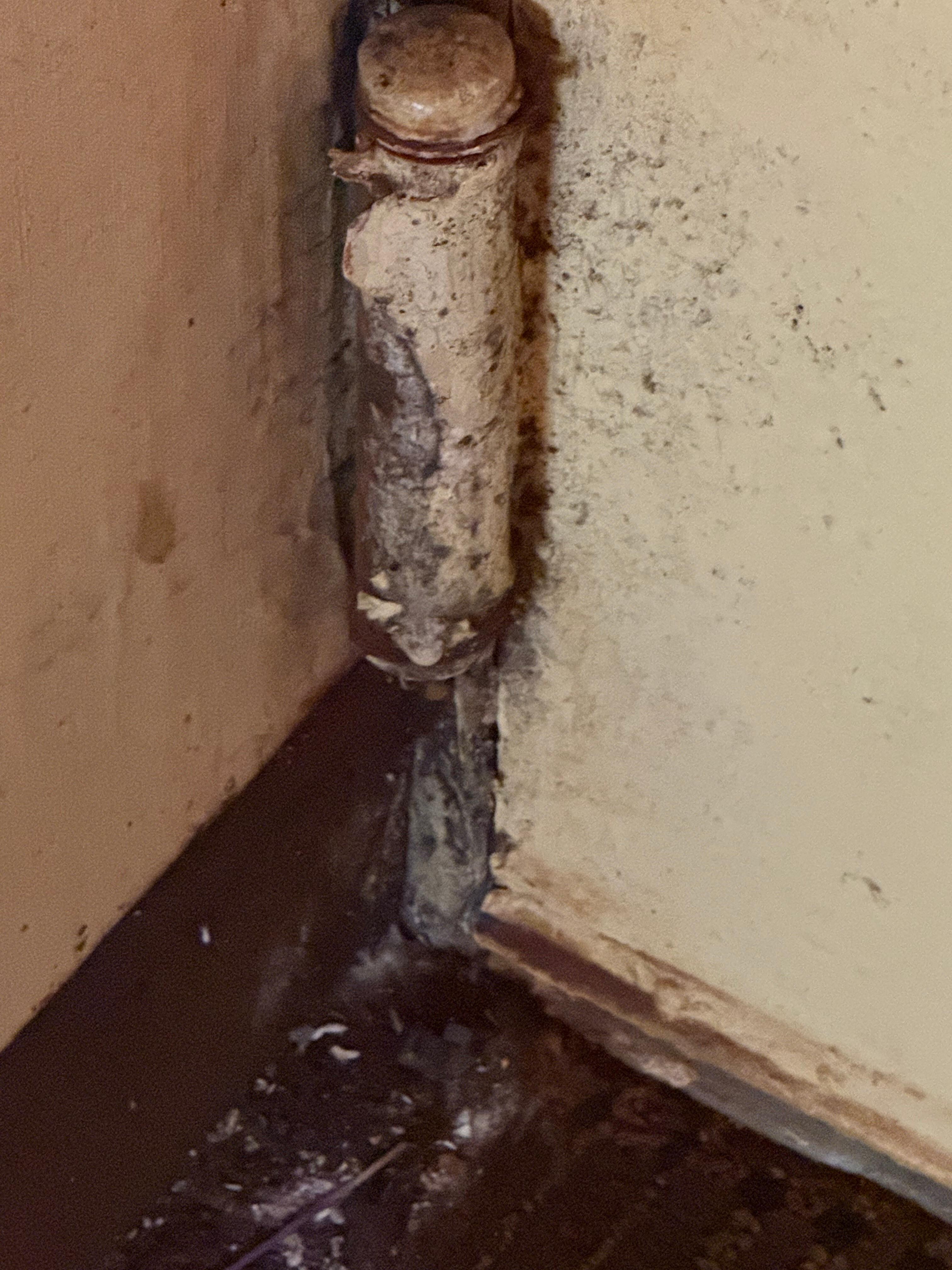 Mold and rust all over hinges on door