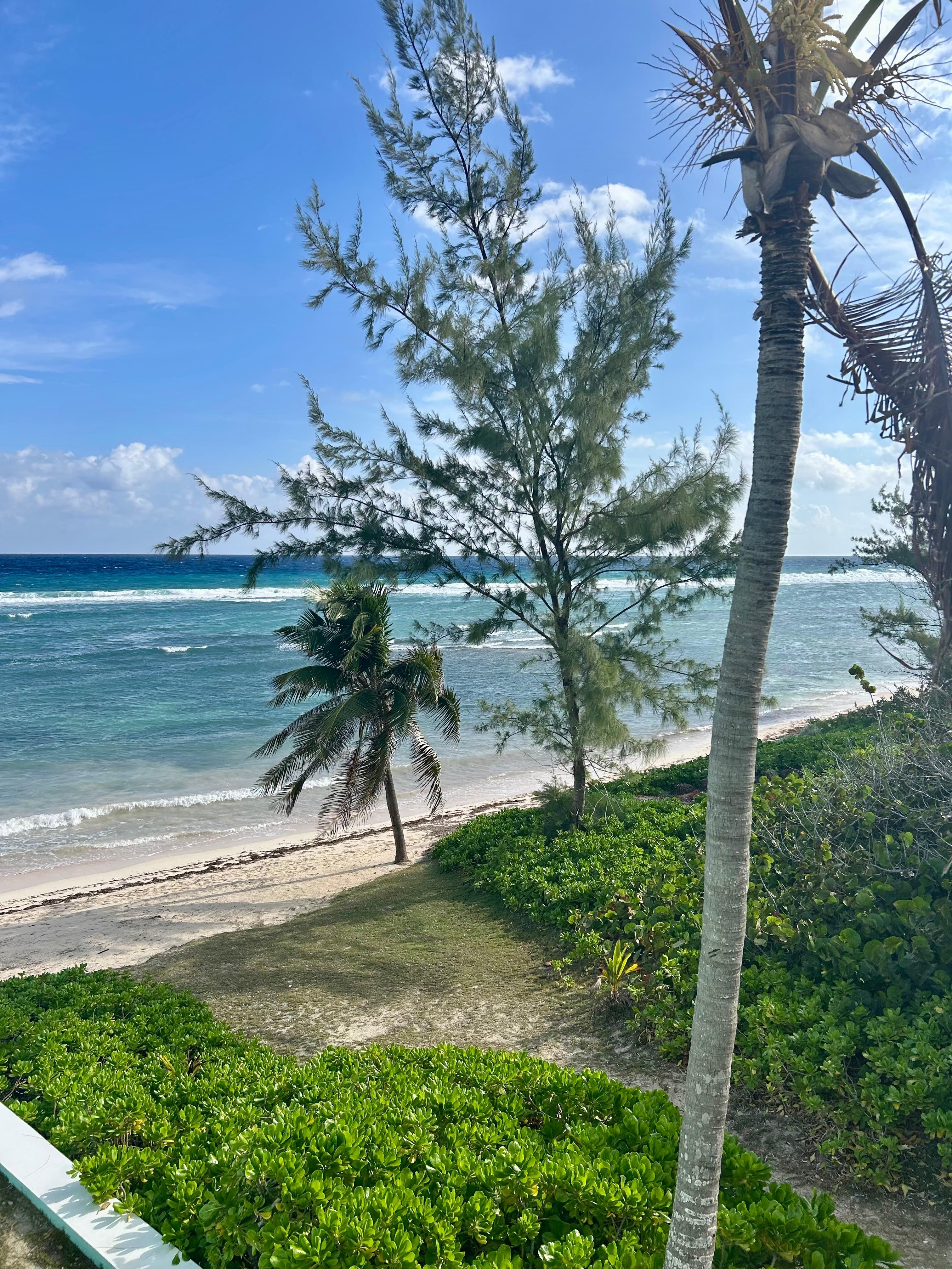 View from rear door. 