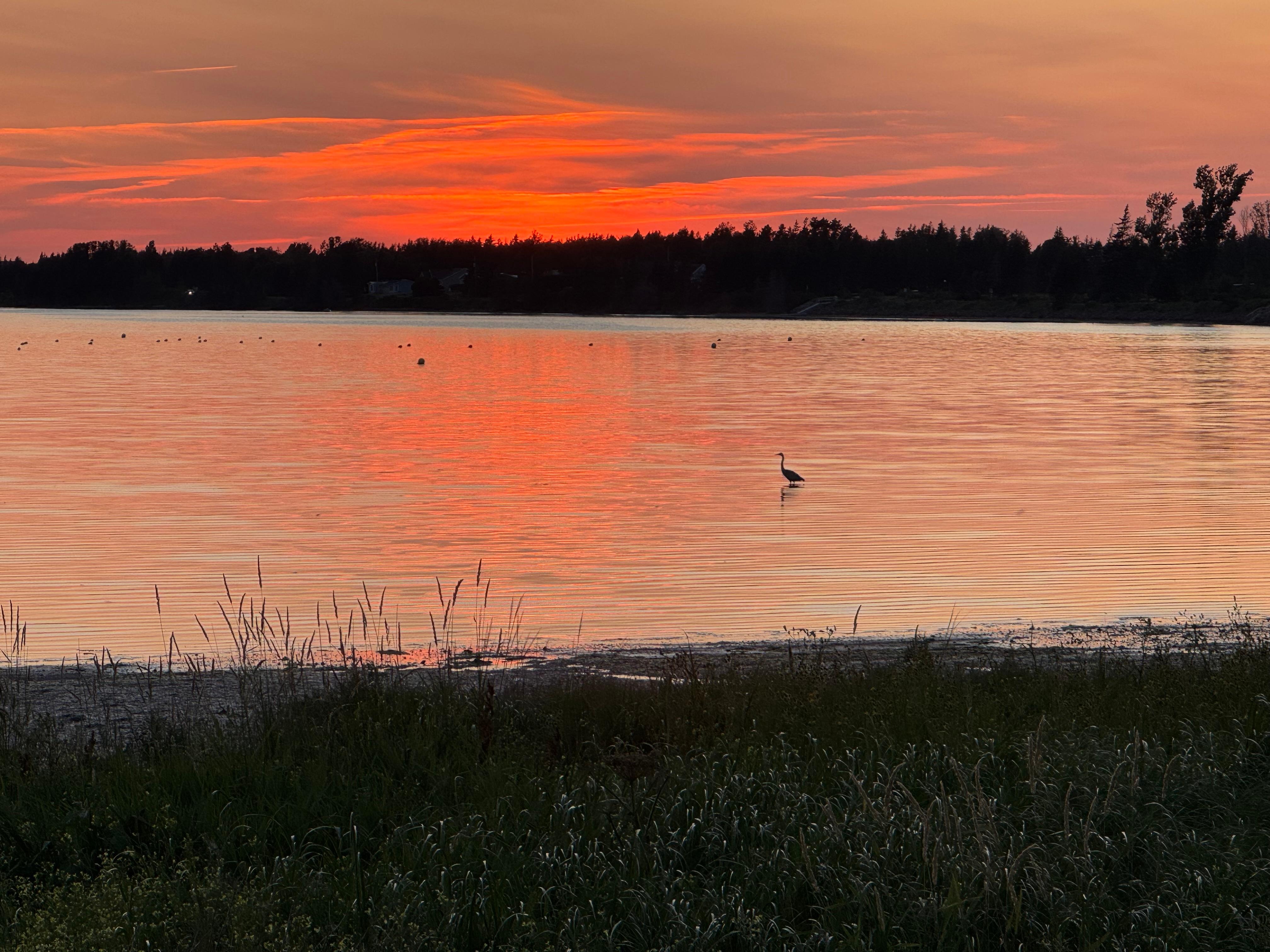 Amazing sunsets over the bay while walking on the bike path.