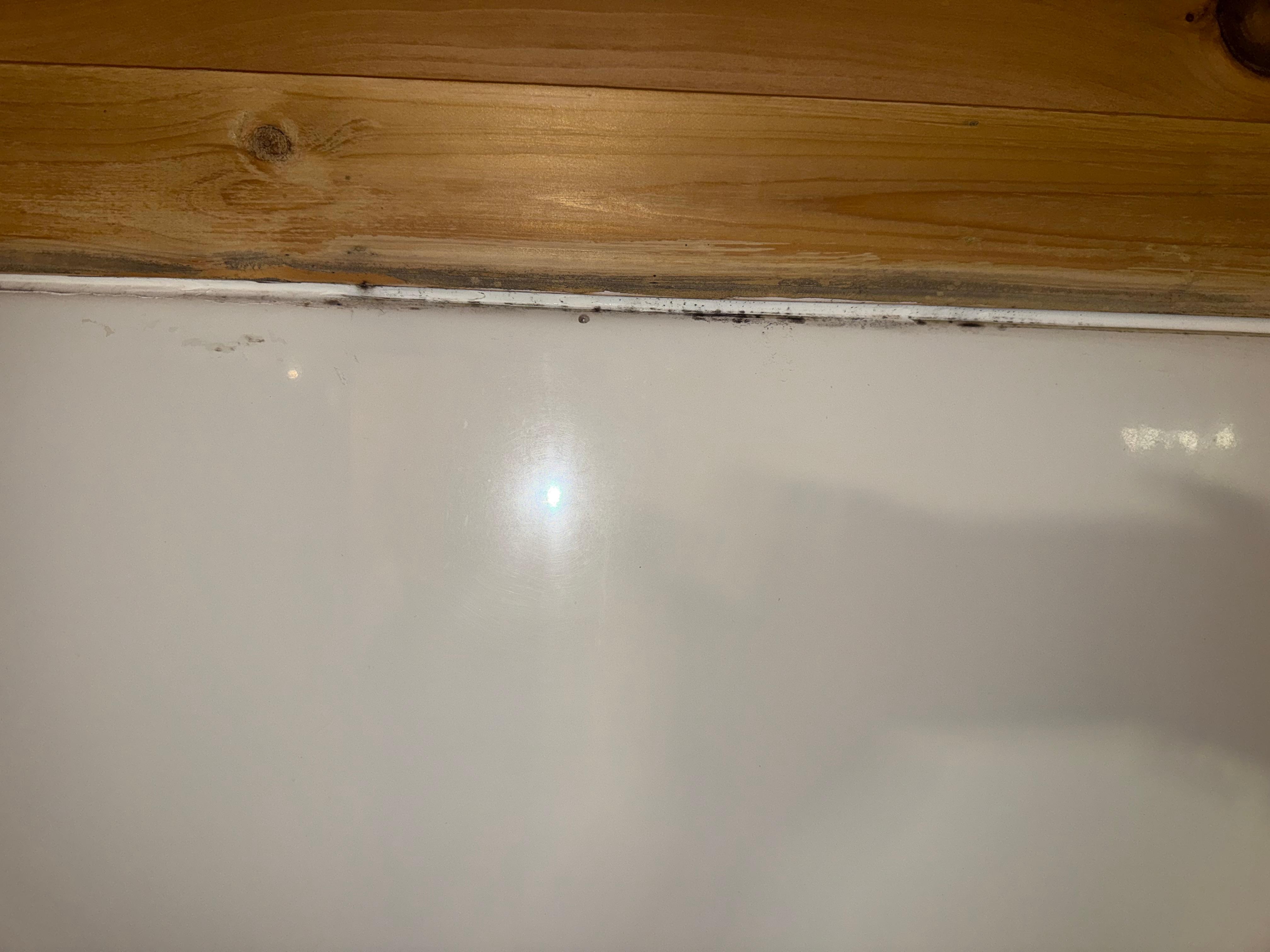 Mold in shower