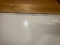 Mold in shower