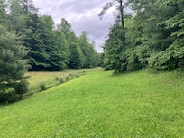 Behind the cottage