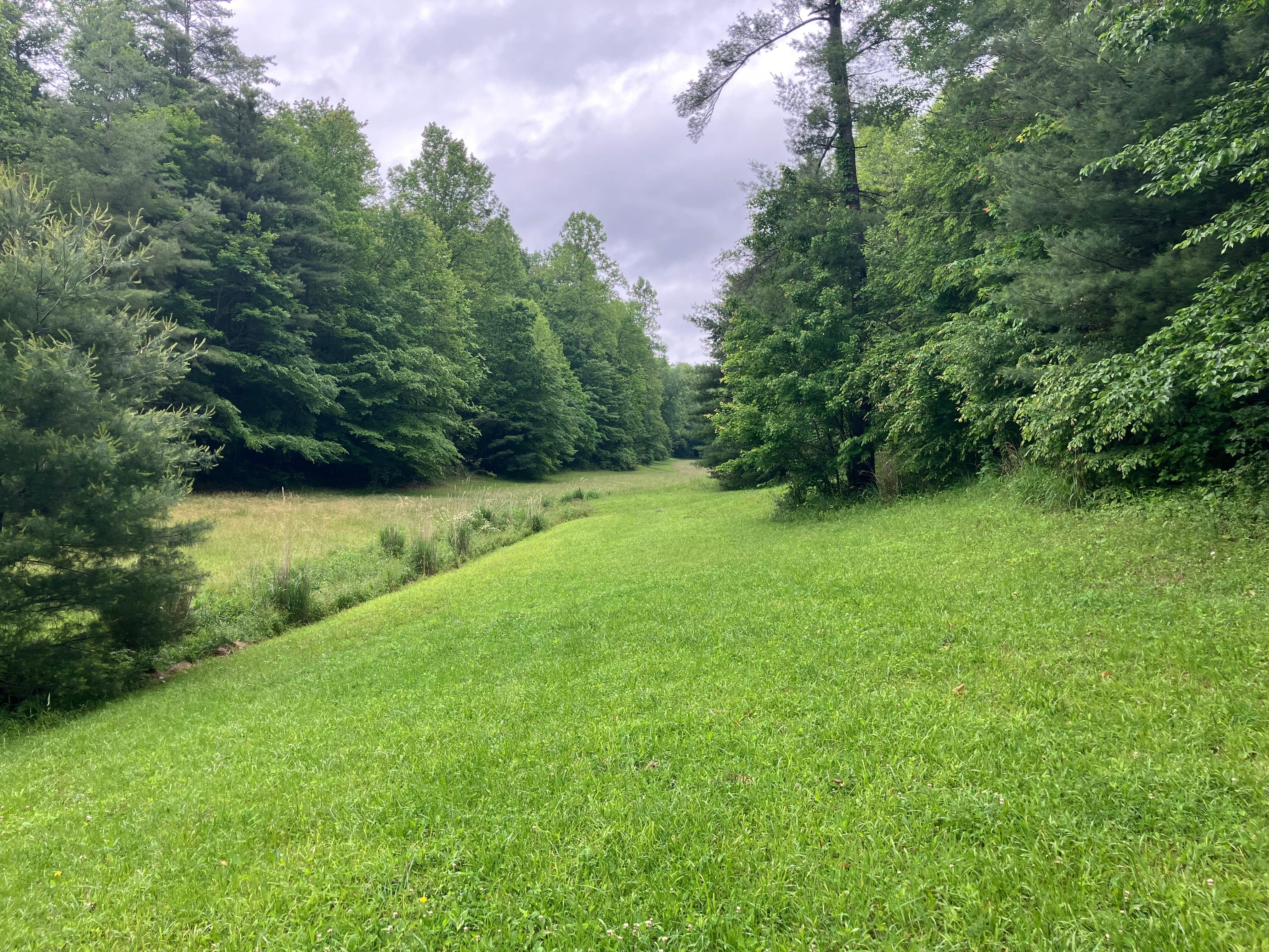 Behind the cottage