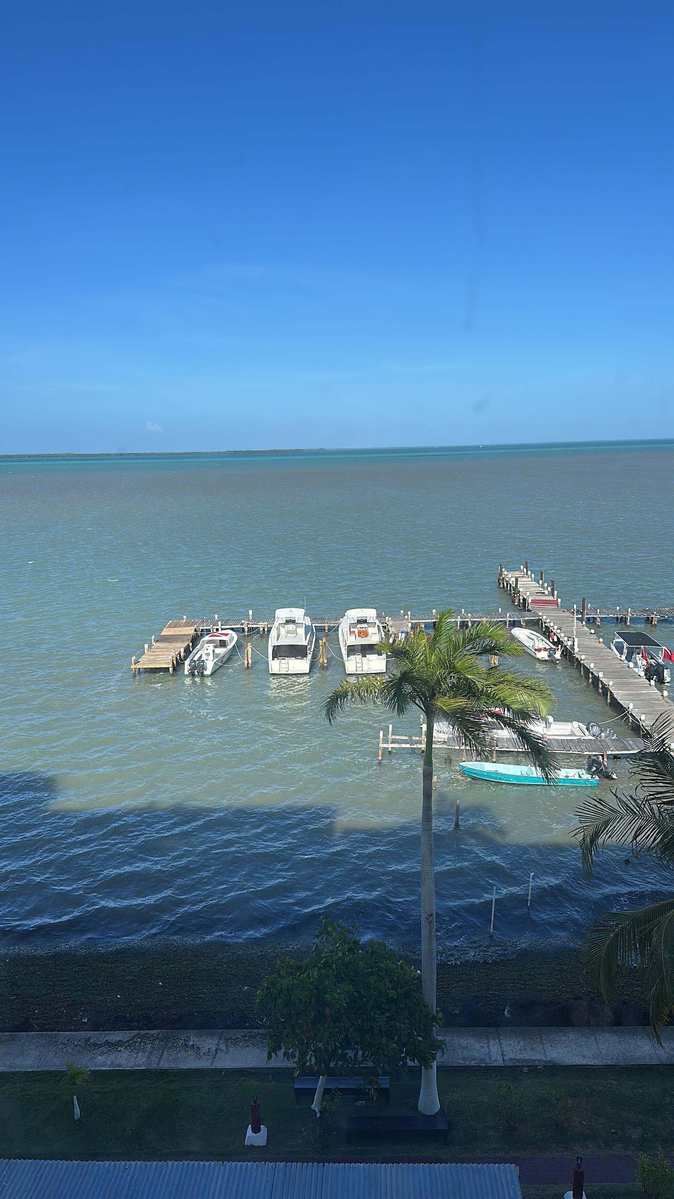 View from my room