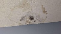 Mold on the ceiling