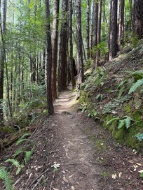 Russian Gulch State Park hiking