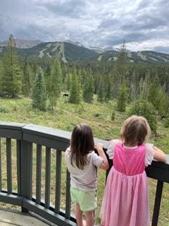 Moose in the distance