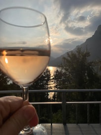 Guten Rose und Abendstimmung über dem See