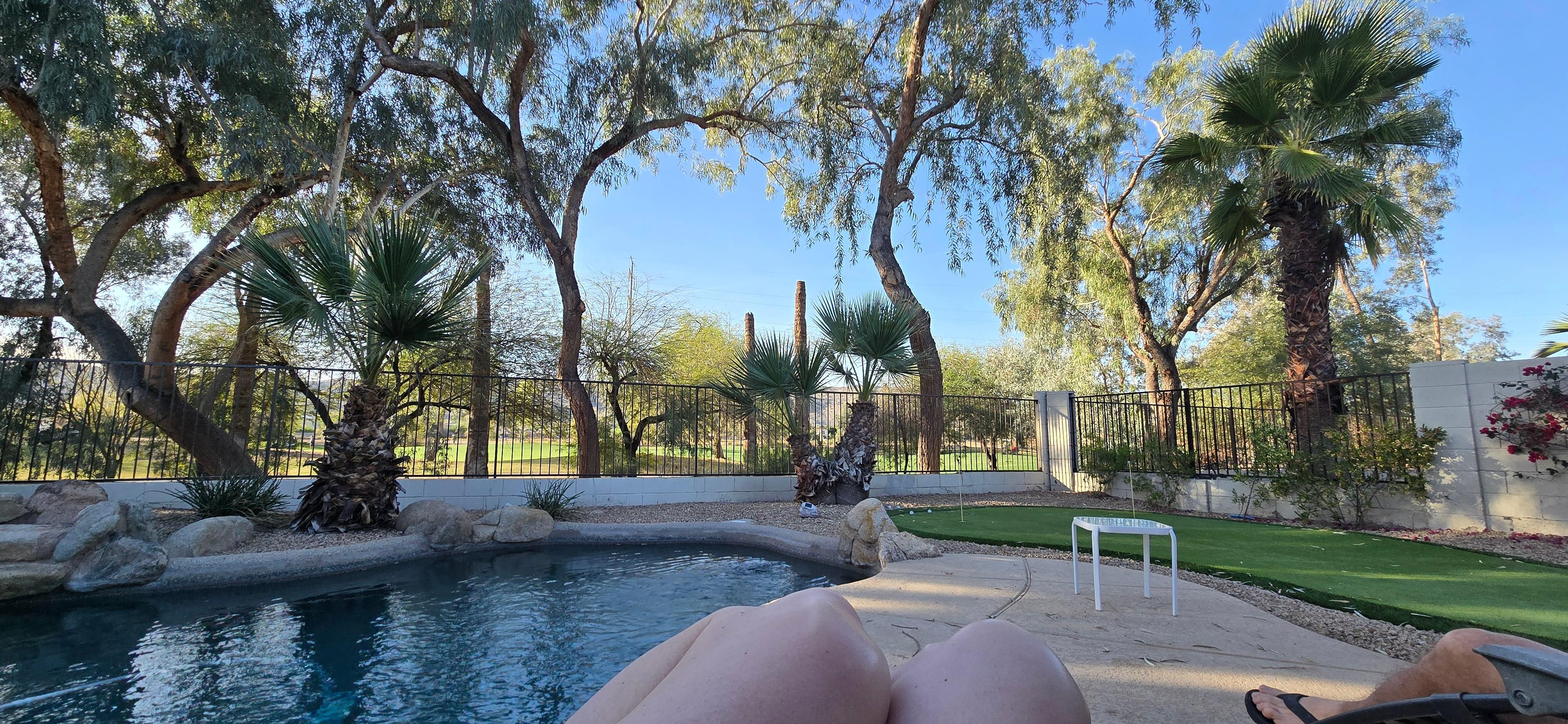 The backyard is an absolute oasis!!