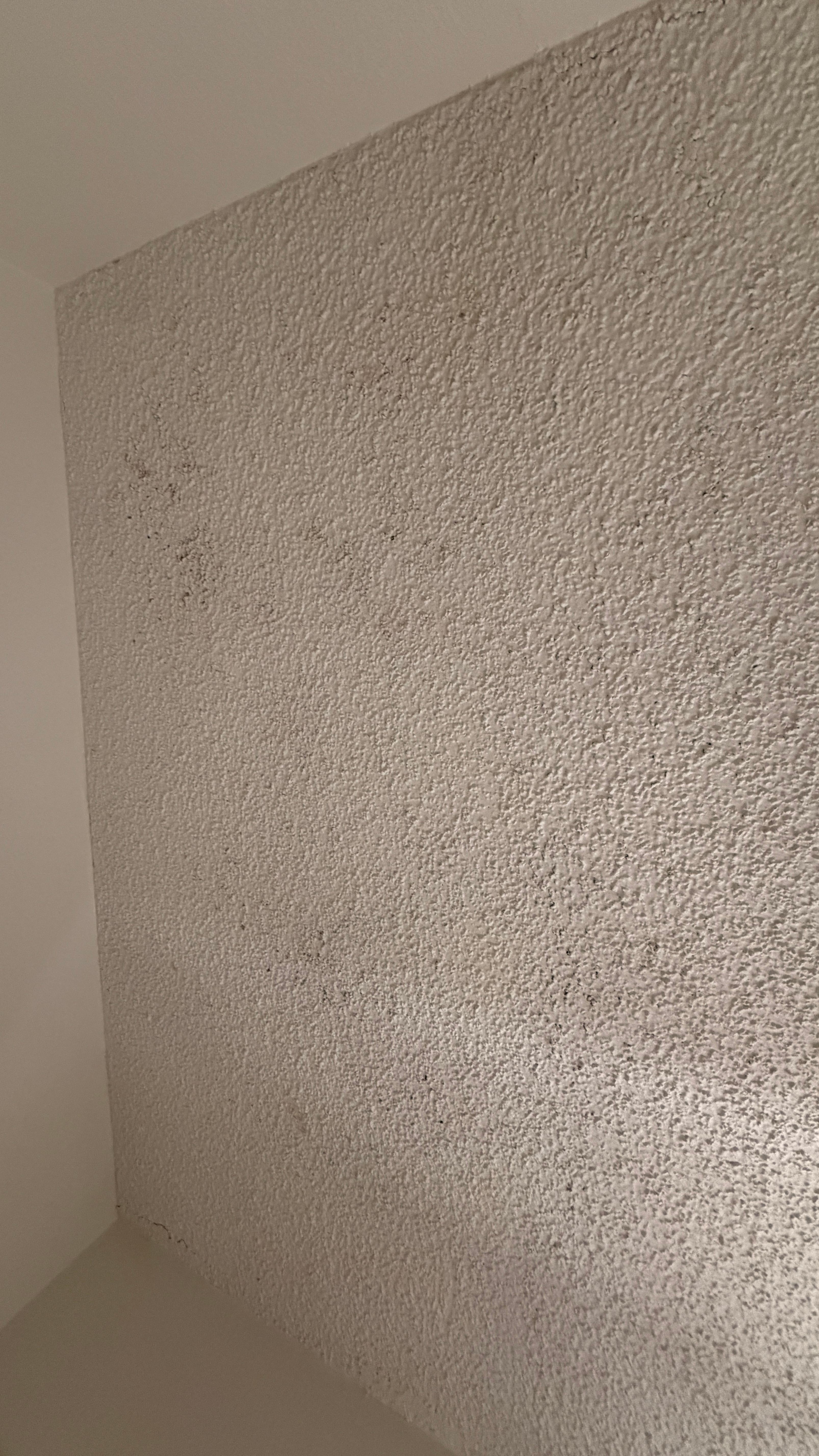 Ceiling above shower 