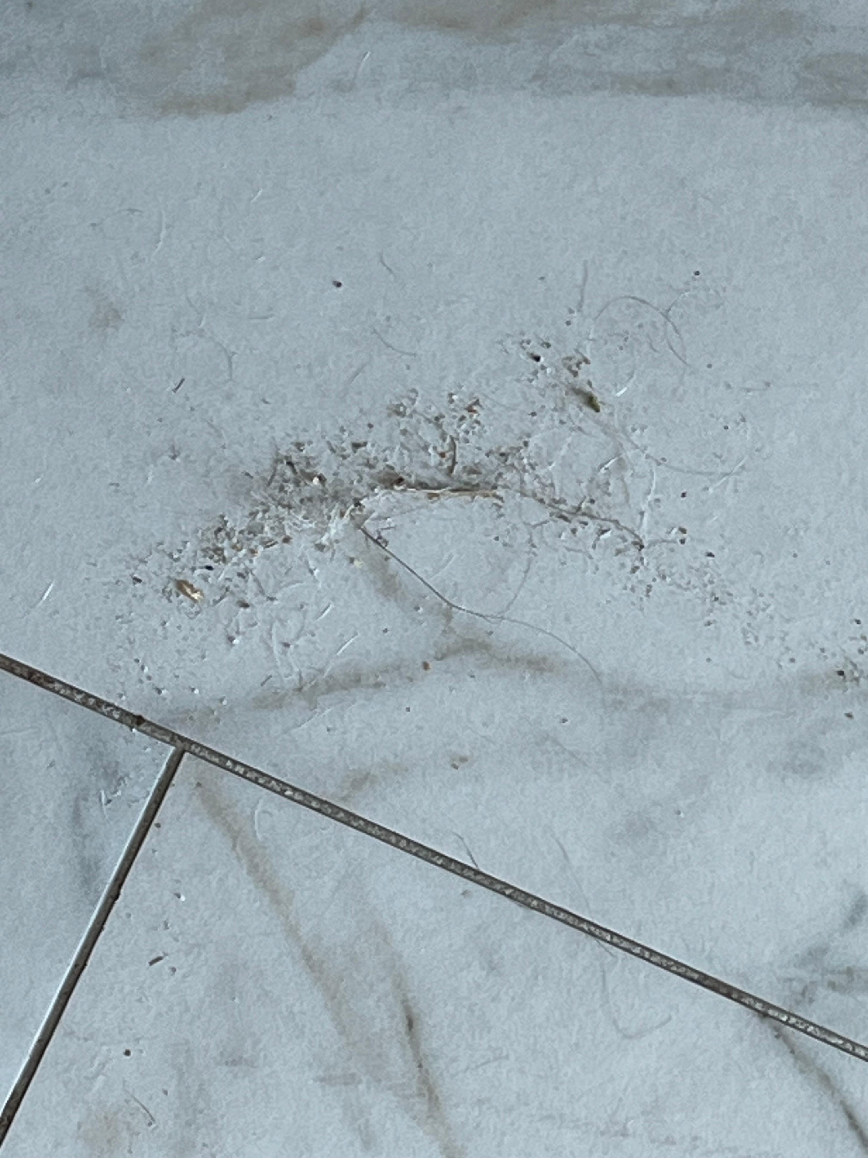 Floors separate pictures of 7 different dirty rooms