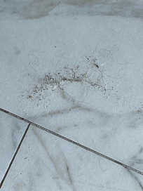 Floors separate pictures of 7 different dirty rooms