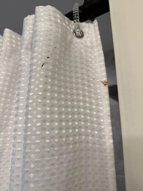 One of many gross things!