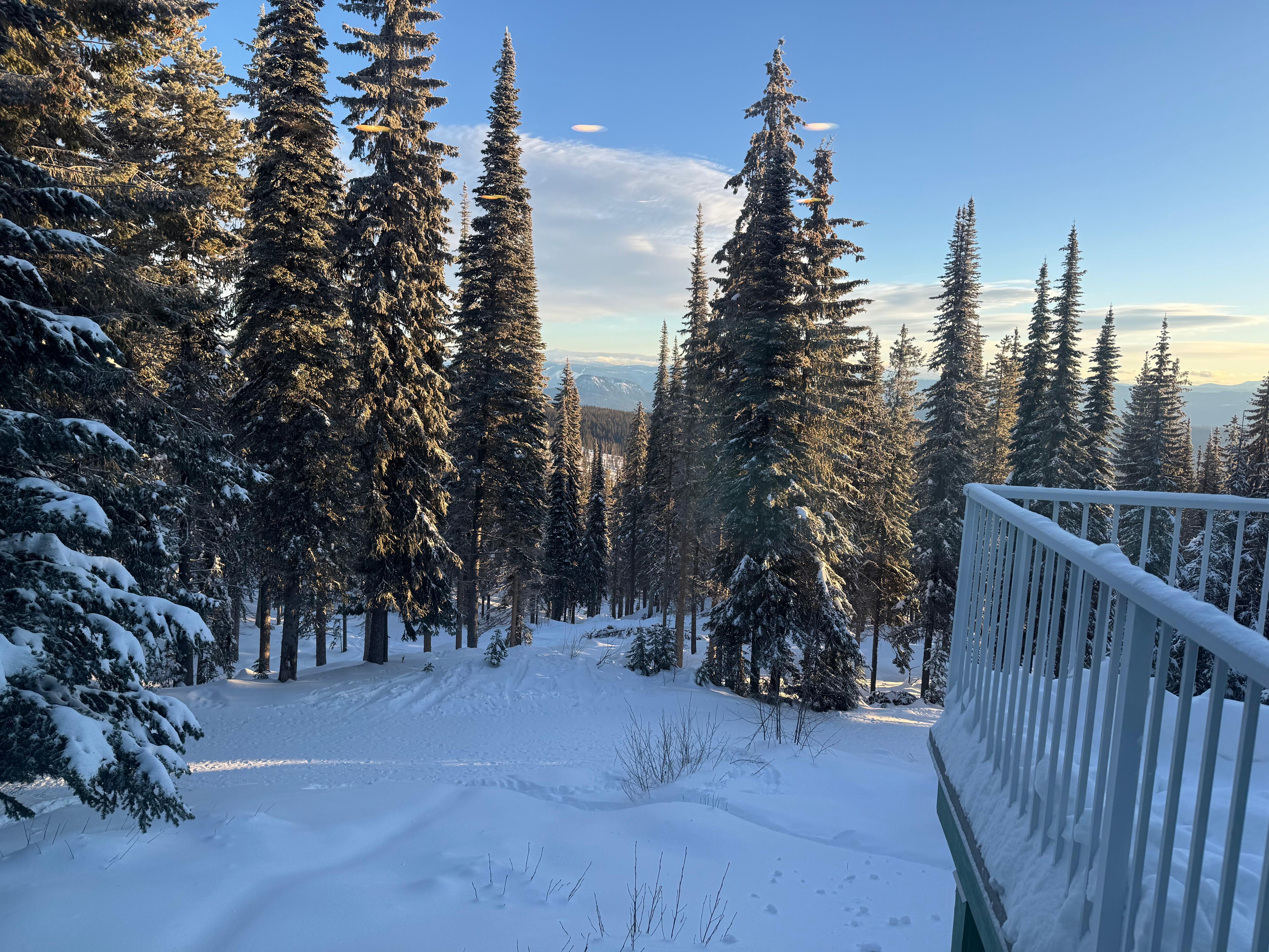 Morning view from the kitchen!living room