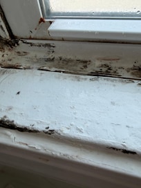 Mold on the window frame in the shower
