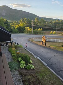 Evening view.