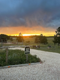 Beautiful sunset