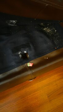 Under the couch cushions