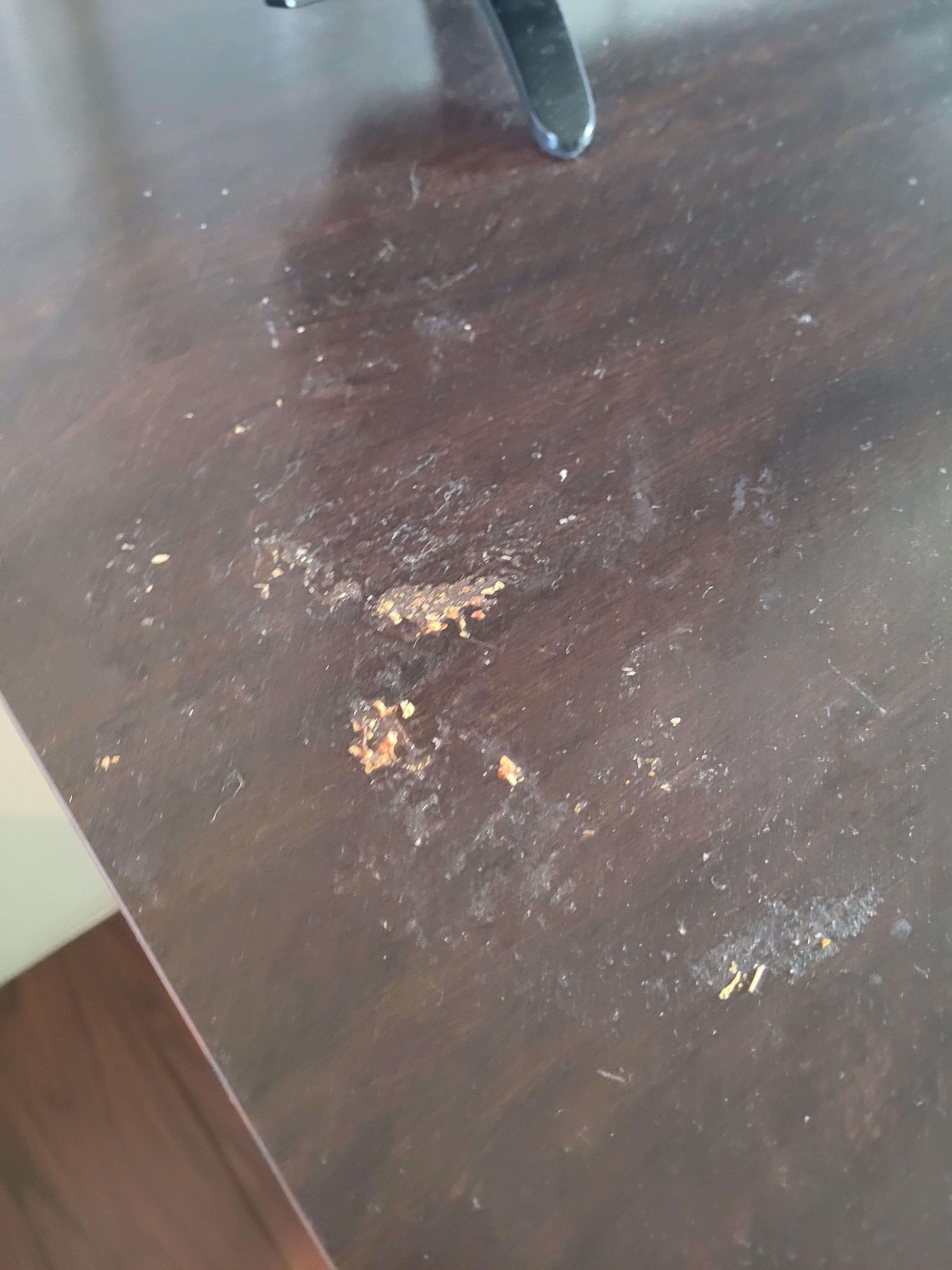 Disgusting food remnants from prior tenants. 