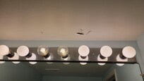 Half bath ceiling