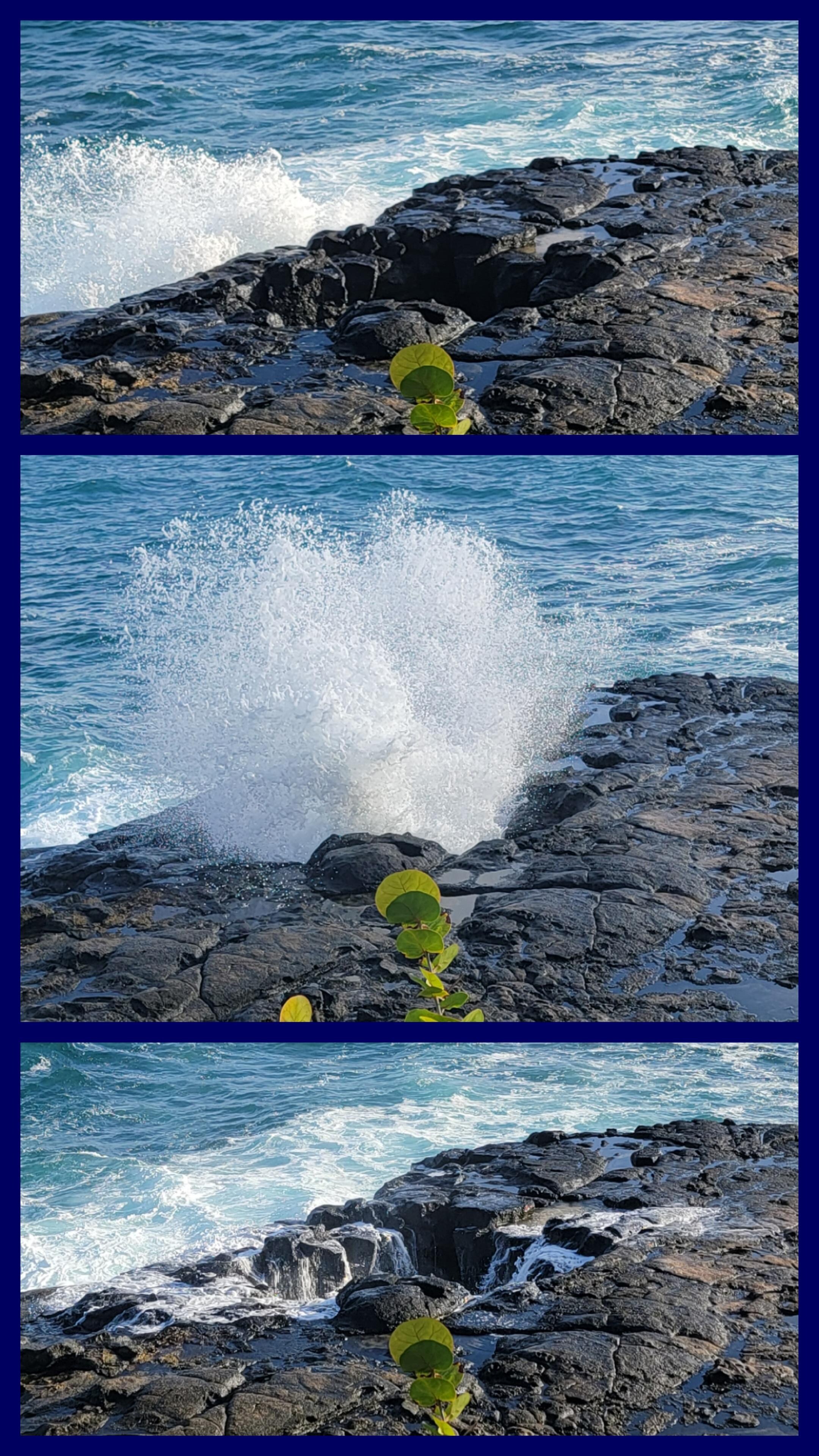 Blow-hole