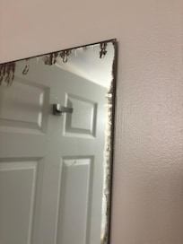Black mold