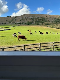 View from our room
