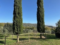 View from the garden