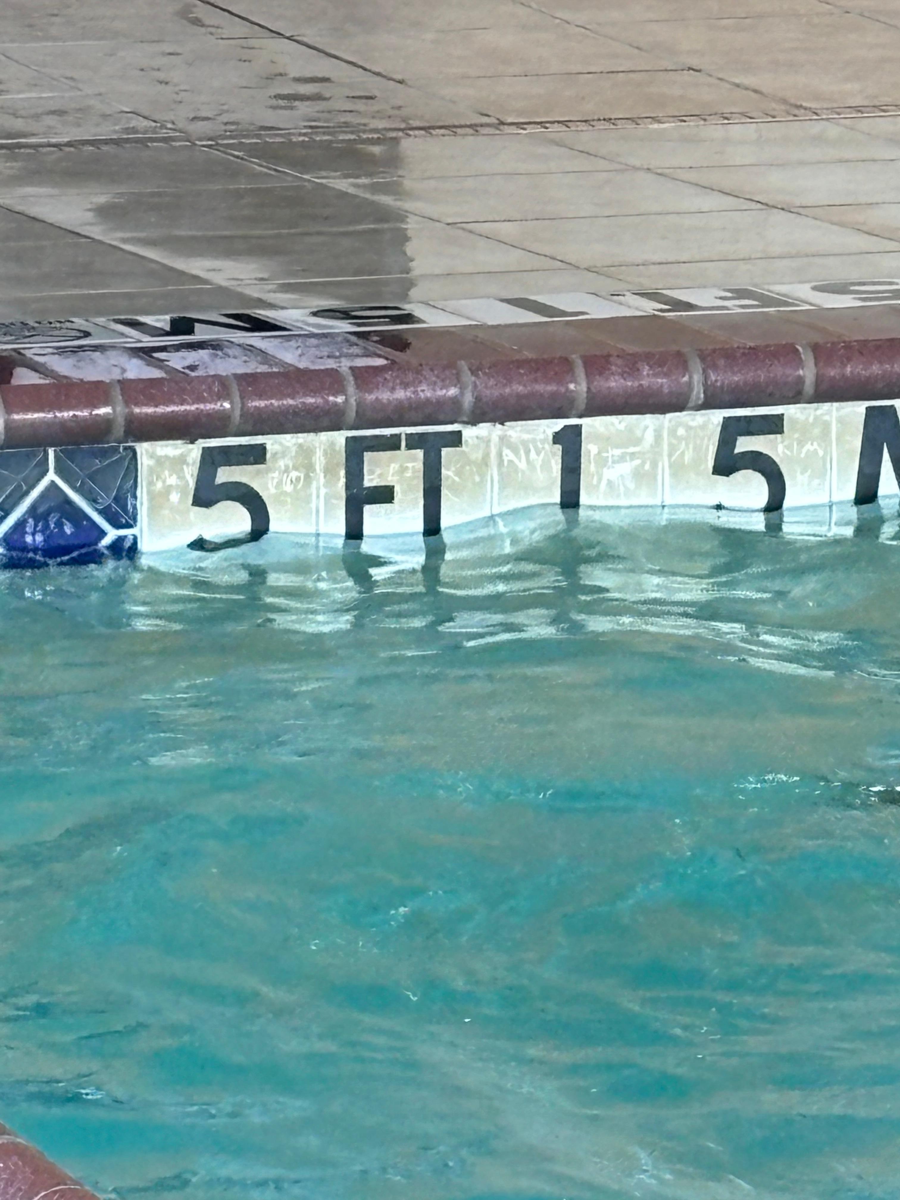 You can see how dirty the wall of the pool is above the water line