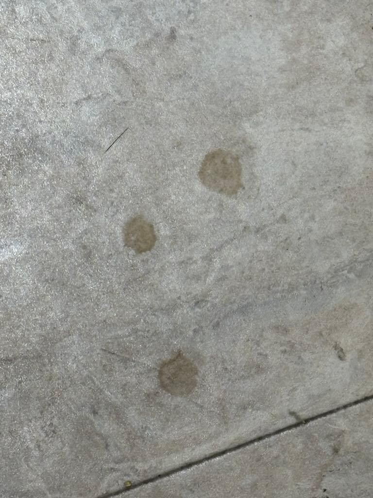 Kitchen floor needed to be thoroughly cleaned (feet stuck to the floor)