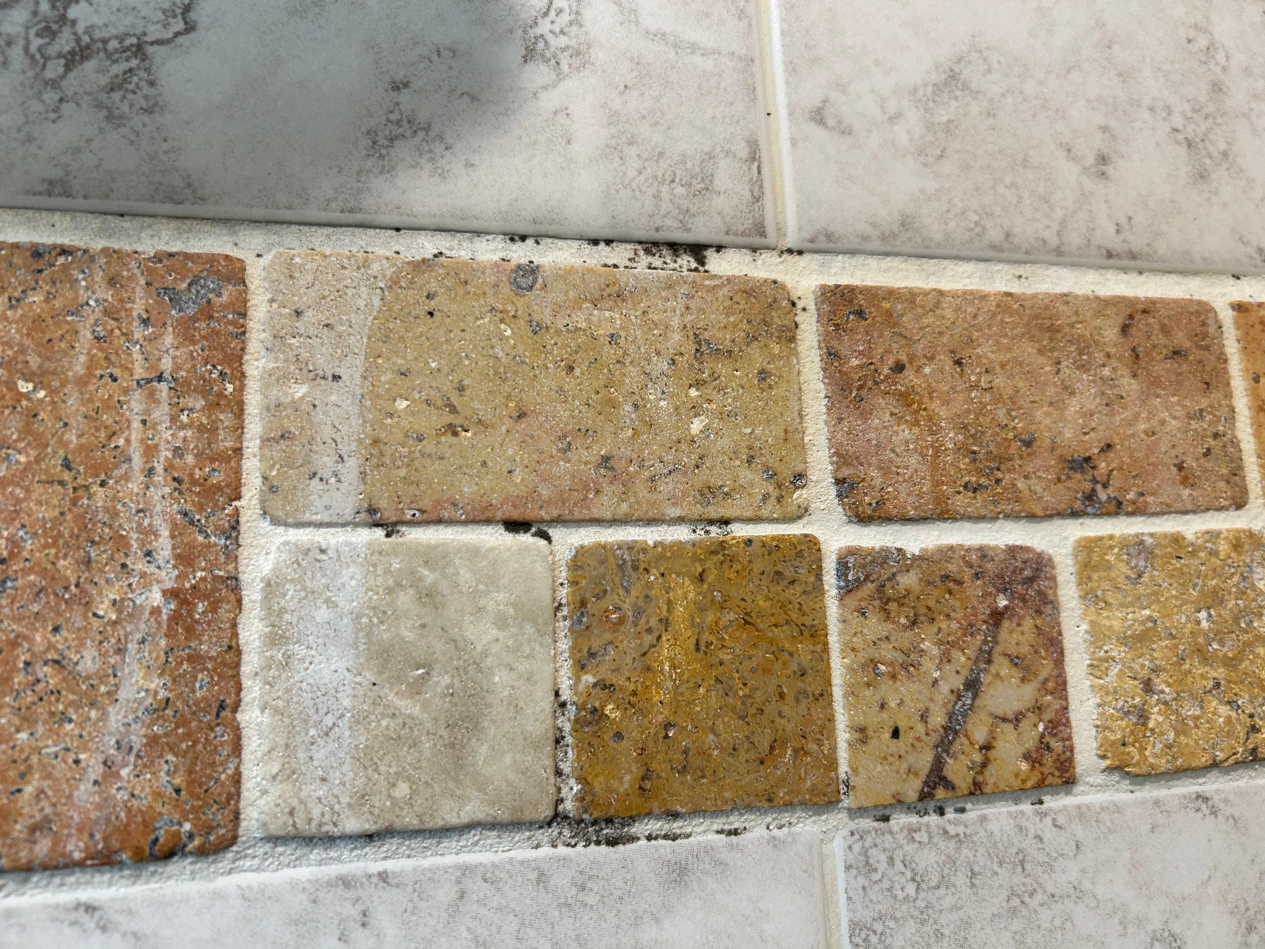 mold in between the tiles