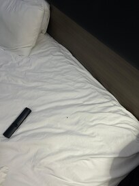 Spider crawling on bed sheet as we were in bed.