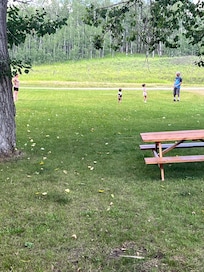 Playing frisbee in the front yard was fun!