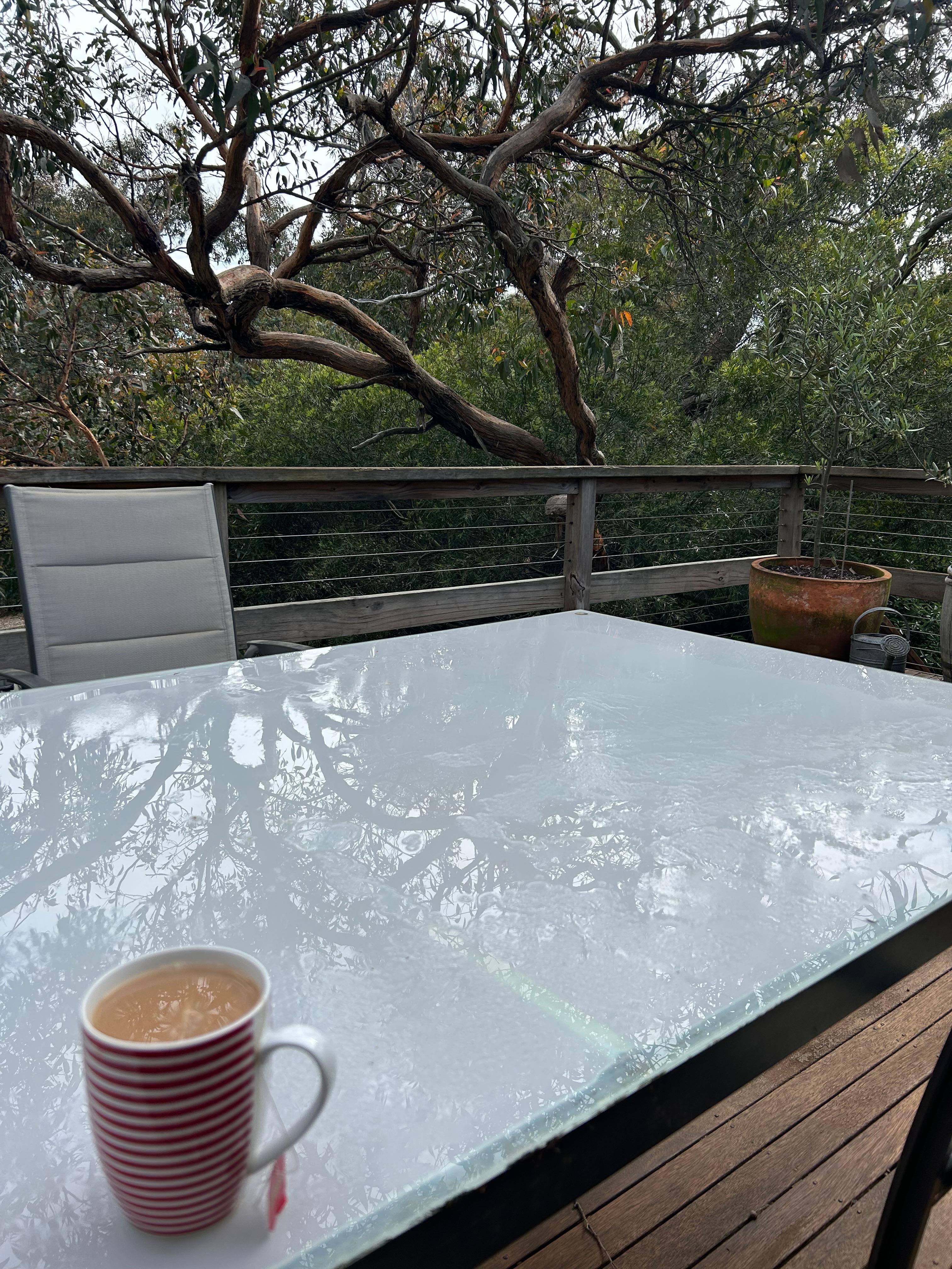 Lovely spot relaxing on the deck. 