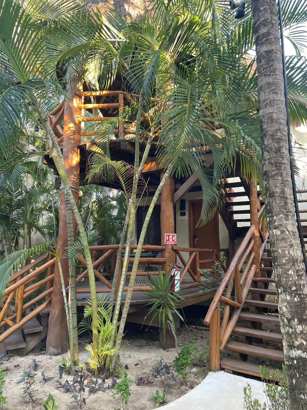 Our building, garden view palapa