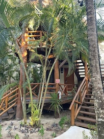 Our building, garden view palapa