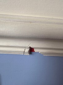 Decorating Terrible